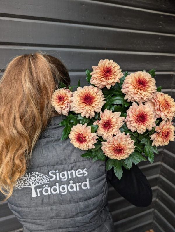 Kvinna med blombukett och på hennes rygg står Signes trädgård